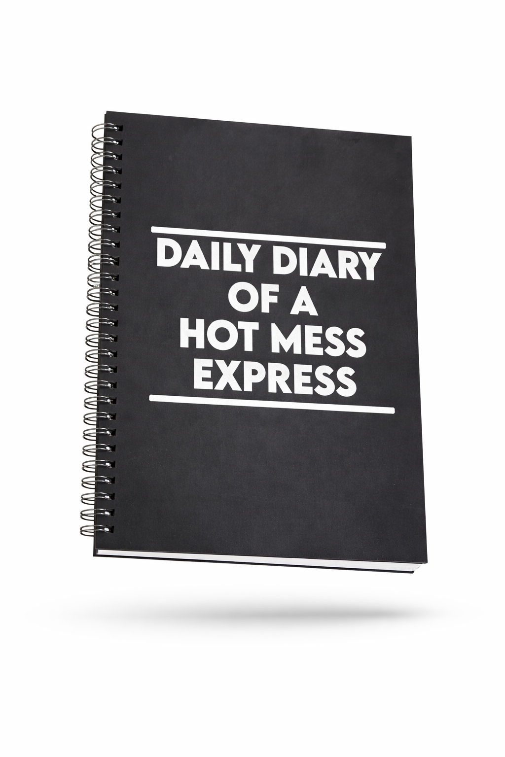 Daily Diary of a Hot Mess Express Funny Notebook Journal